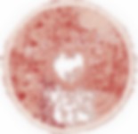 Cellule rongée aux mites – Image numérique  de la série Sentimentales dissections, une digression sur les analogies entre peau et cerveau.